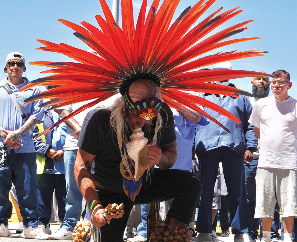 Cinco de Mayo celebration draws Friesian horse and low riders