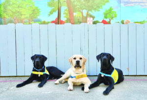 Two San Quentin residents visit California Medical Facility, discuss expansion of Canine Companions