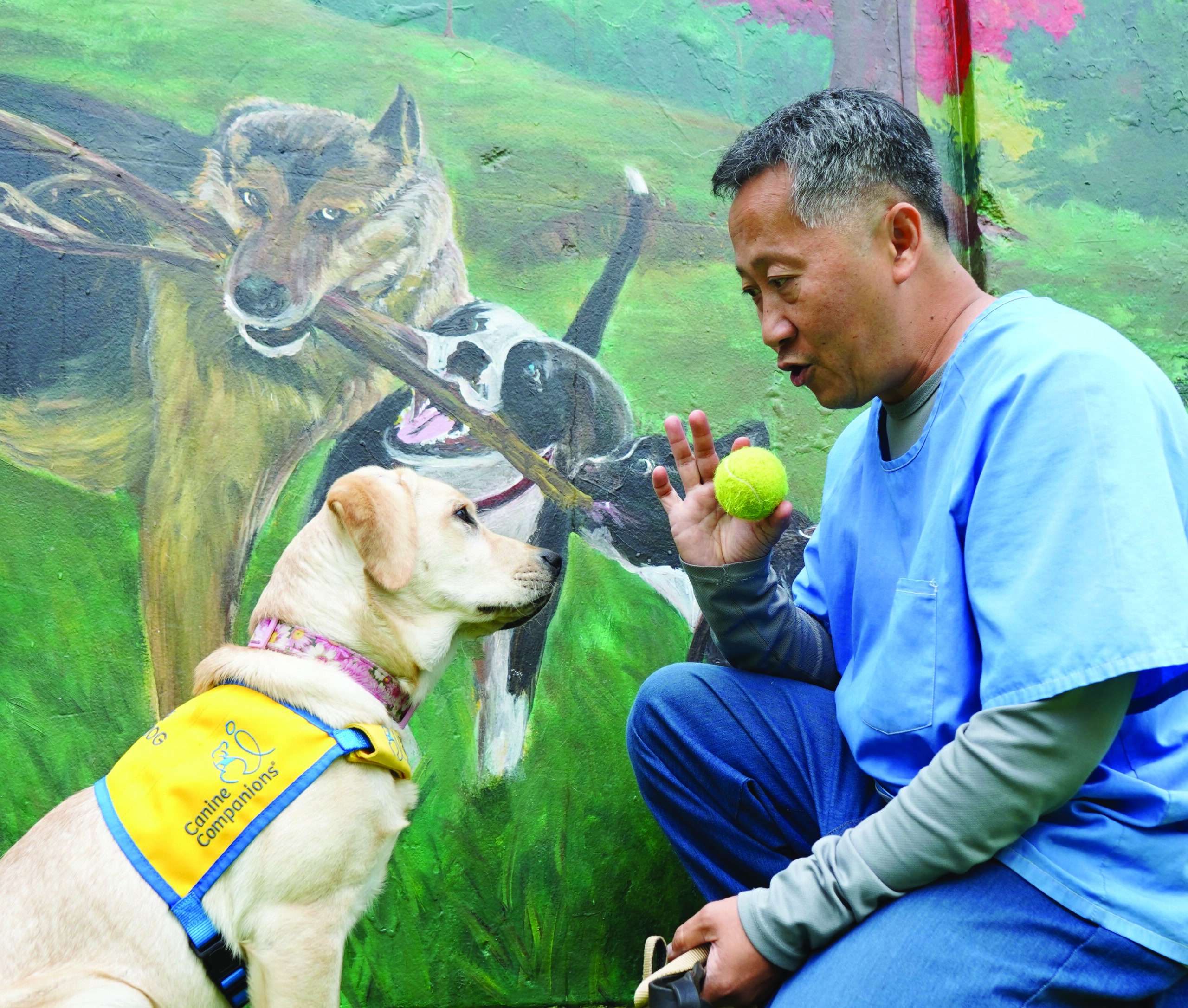 From walking the Row to walking the dog