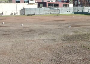 San Quentin’s athletic field deteriorating
