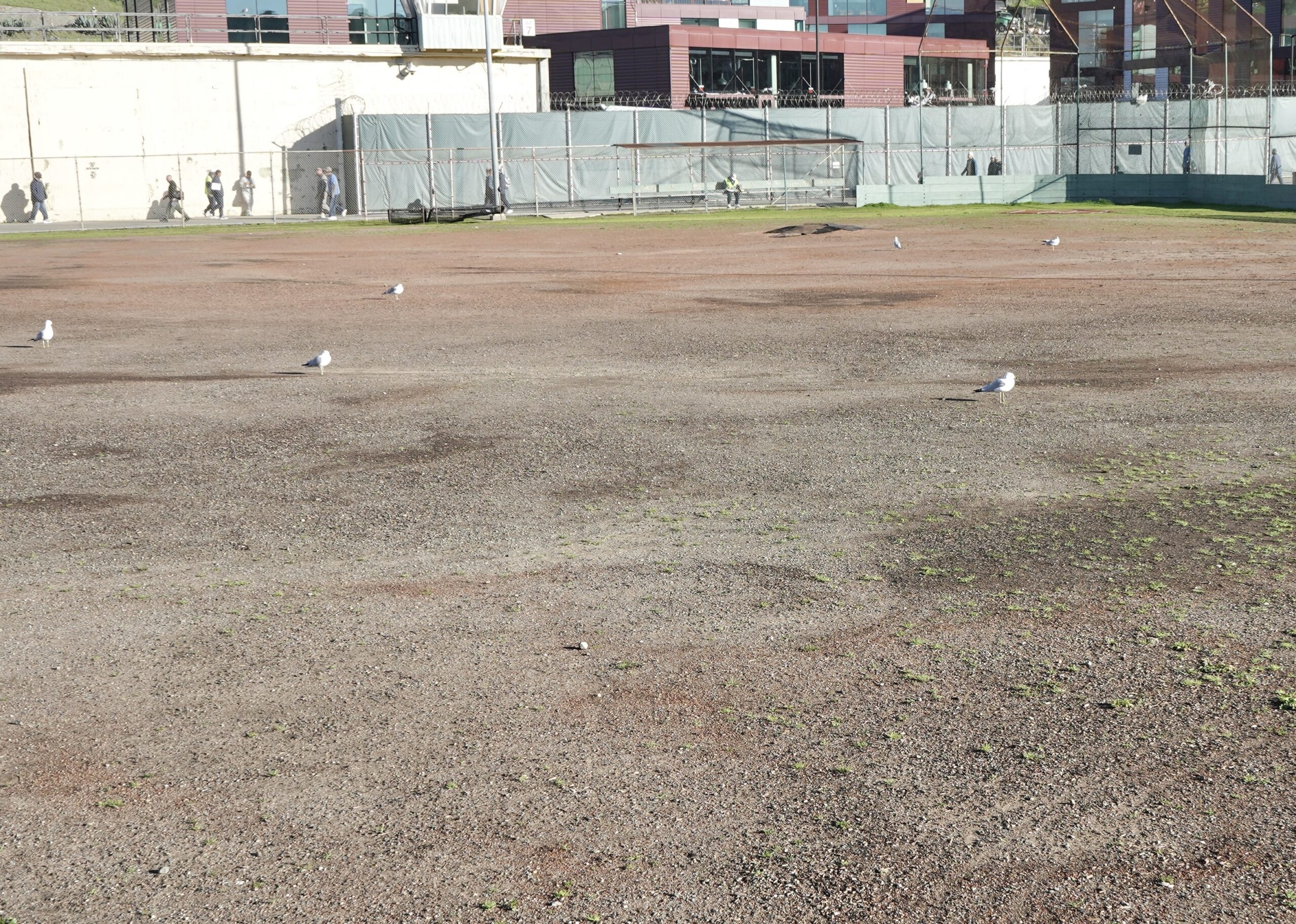 San Quentin’s athletic field deteriorating