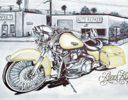 2009 Harley Davidson Road King
(2023) 19-in by 12-in