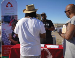 Awareness Into Domestic Abuse